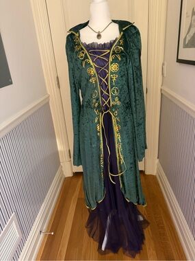 Disney Hocus Pocus Winifred Sanderson Costume